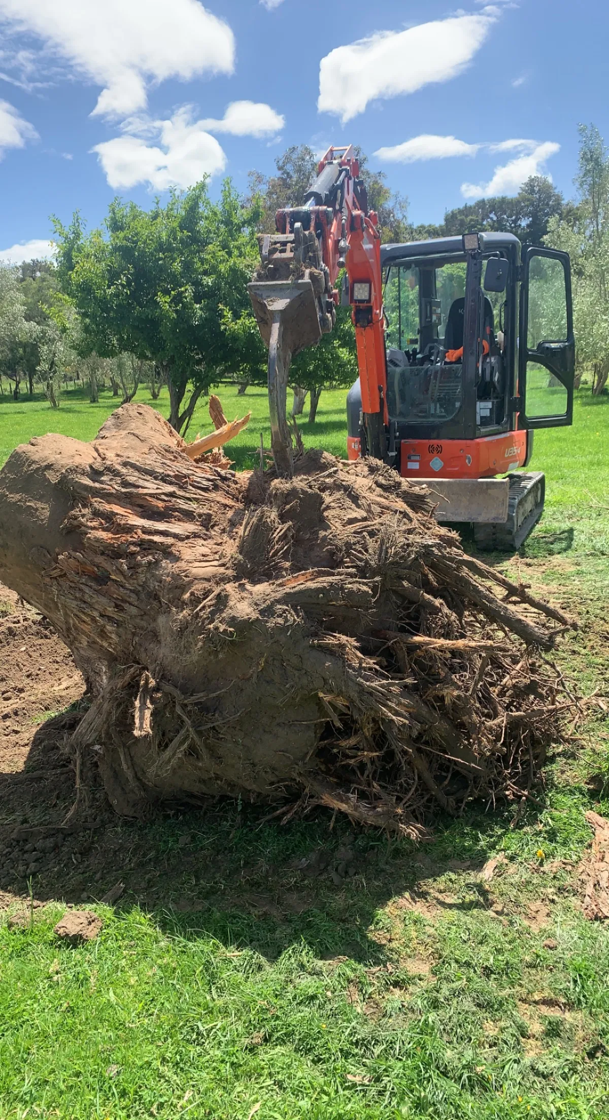 Land Clearing and Scrub Removal